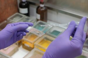 Saúde da mulher: a importância da coleta de preventivo