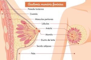 amamentacao-psicologica-e-fisiologica-1
